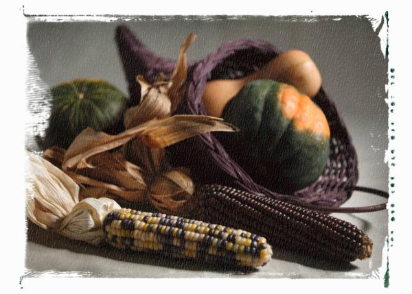 cornucopia2medium