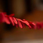 red dots pinned to a rope